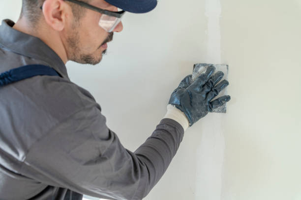 Best Residential Mold Inspection & Testing  in River Road, OR