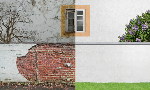 Best Post-Construction Mold Inspection  in River Road, OR