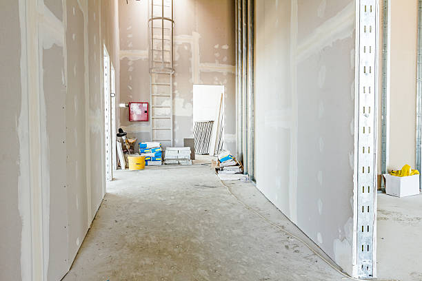 Best Environmental Consulting for Mold Prevention  in River Road, OR